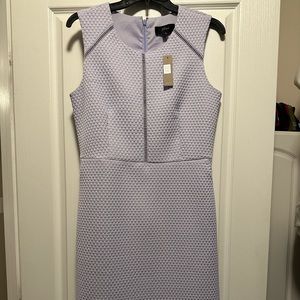 Brand new J Crew knee length dress